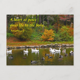 Carte Postale Automne à l'étang de canard