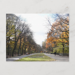 Carte Postale Automne à New York City Riverside Park NYC Photo