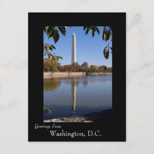 Carte Postale Automne à Washington DC