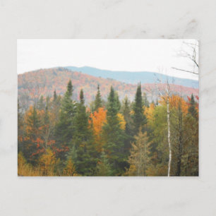Carte Postale Automne Adirondacks Arbres paysage paysage