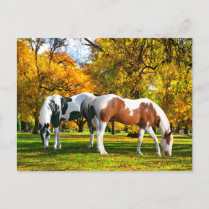 Carte Postale "Automne après-midi" 