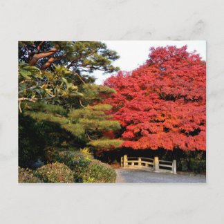 Carte Postale Automne au Japon