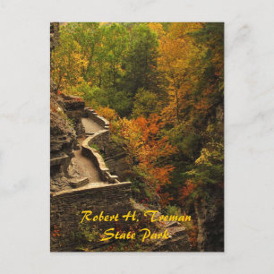 Carte Postale Automne au Parc d'état de Treman