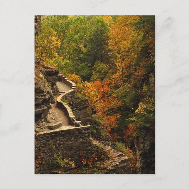 Carte Postale Automne au Parc d'état de Treman (Devant)