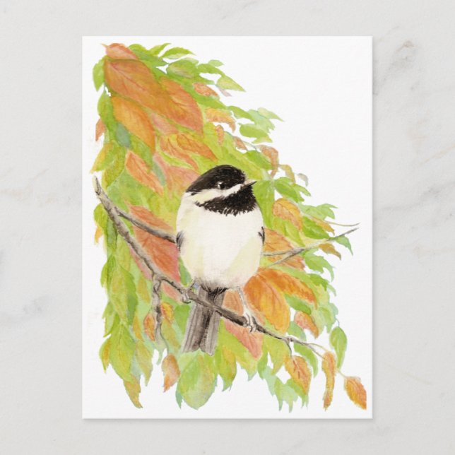 Carte Postale Automne, Automne, Chickadee, Nature des oiseaux (Devant)