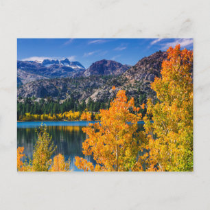Carte Postale Automne autour de June Lake, Californie