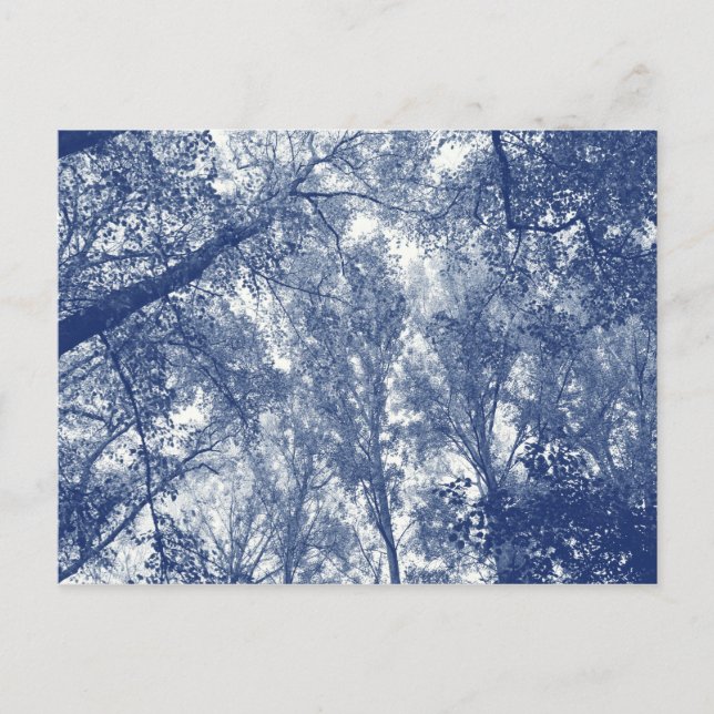 Carte Postale Automne Bleu - Effet Cyanotype (Devant)