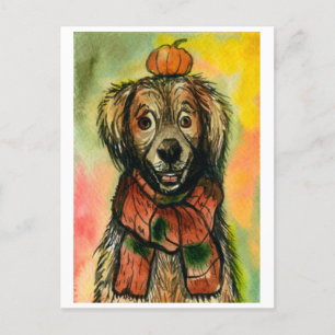 Carte postale Automne, Chien avec un Citrouille, A