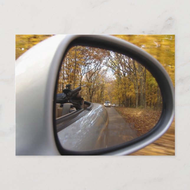 CARTE POSTALE AUTOMNE/CHUTE DANS LA VOITURE DE SPORT DE MIROIR (Devant)
