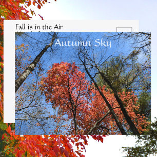 Carte Postale Automne Ciel coloré Arbres d'automne Photographie