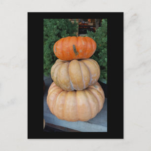 Carte postale Automne citrouille