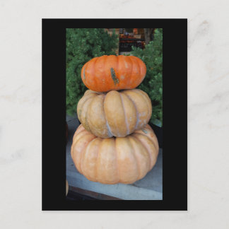 Carte postale Automne citrouille