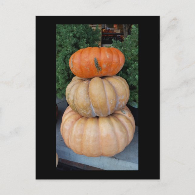 Carte postale Automne citrouille (Devant)