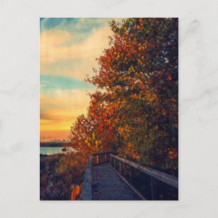 Carte Postale Automne coucher de soleil