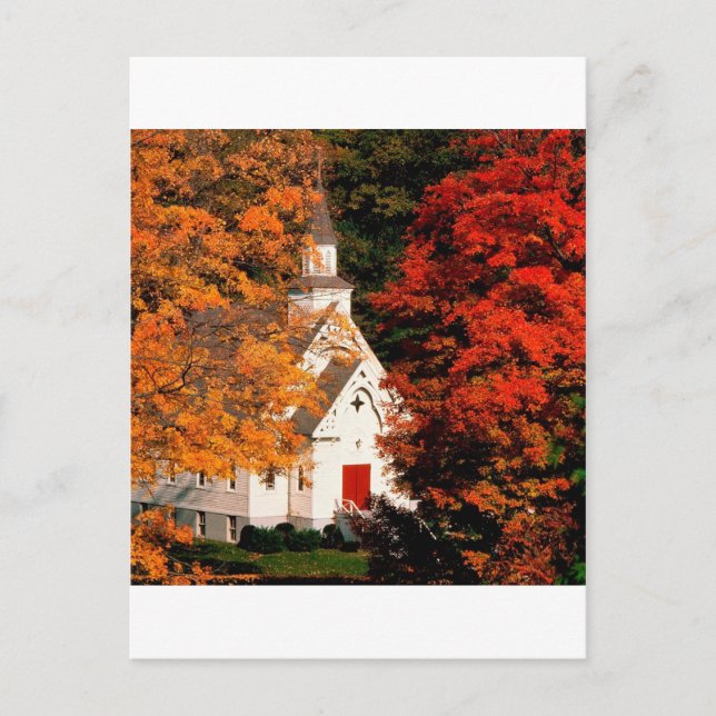 Carte Postale Automne Couleur de pointe Vermont (Devant)