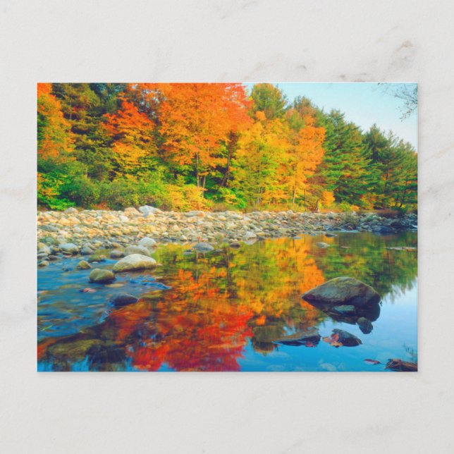 Carte Postale Automne Couleurs reflétant dans un ruisseau du Ver (Devant)