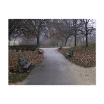 Automne dans le parc