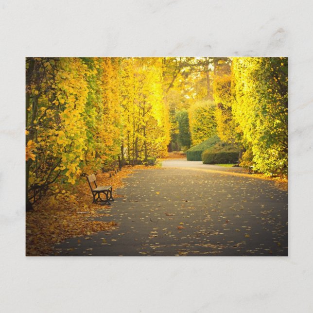 Carte Postale Automne dans le parc de Gdansk, Pologne (Devant)