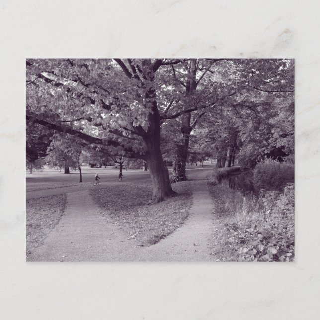 Carte Postale Automne dans le parc - Purple Toned BW (Devant)