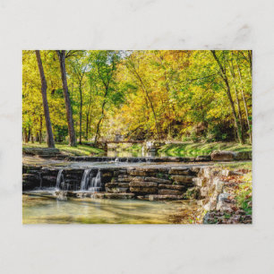 Carte postale Automne Dogwood Creek