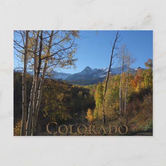 Carte Postale Automne du Colorado  (Devant)