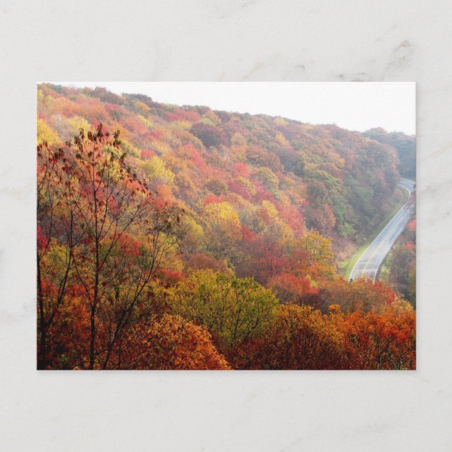 Carte Postale Automne en Caroline du Nord (Devant)