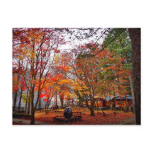 Automne en Corée