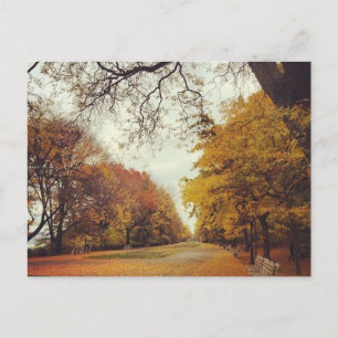 Carte Postale Automne Feuilles NYC Riverside Park New York Autom