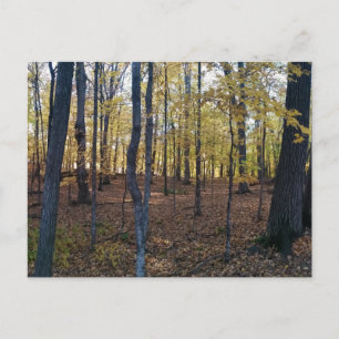 Carte postale Automne jaune