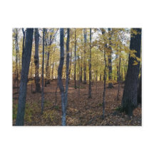 Carte postale Automne jaune