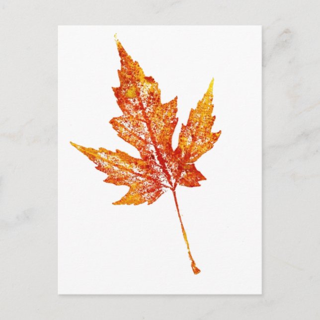 Carte postale "Automne Maple #2" (Devant)