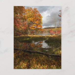 Carte Postale Automne nord-est