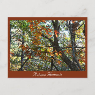 Carte postale Automne Photo