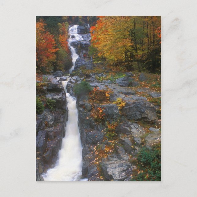 Carte Postale Automne Silver Cascade (Devant)