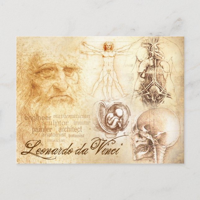 Carte Postale Autoportrait de Da Vinci et études anatomiques (Devant)
