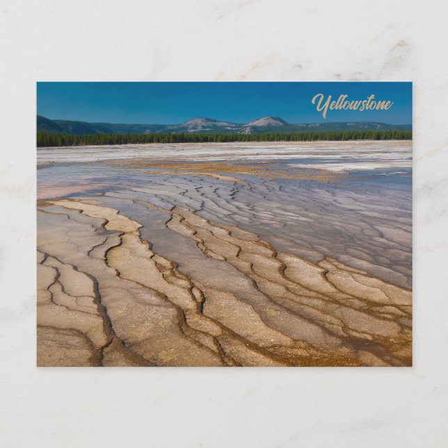 Carte Postale Autour du Grand Prismatic Spring Yellowstone (Devant)