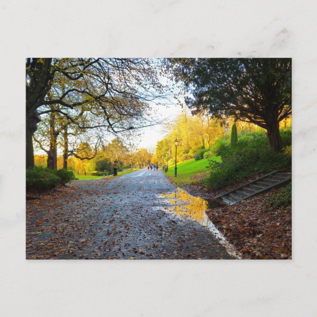 Carte Postale Autumn  (Devant)