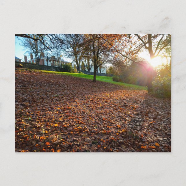 Carte Postale Autumn  (Devant)