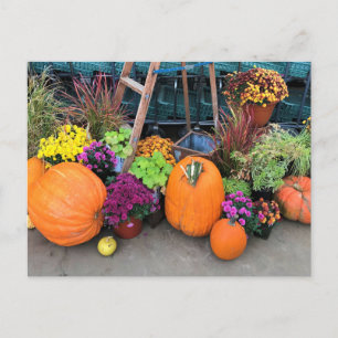 Carte Postale Autumn Decor