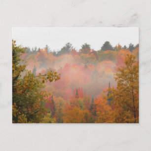 Carte Postale Autumn Field Adirondacks Paysage des arbres