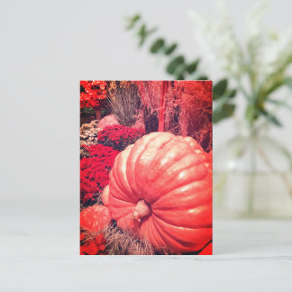 Carte Postale Autumn Harvest Postcard
