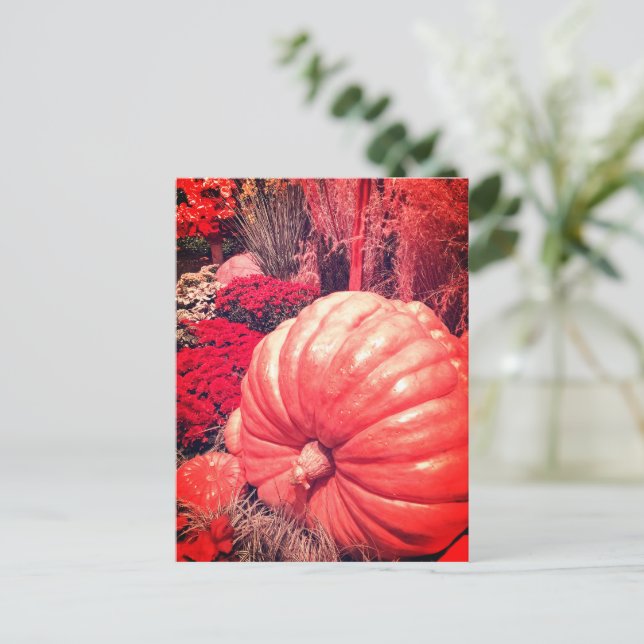 Carte Postale Autumn Harvest Postcard (Debout devant)