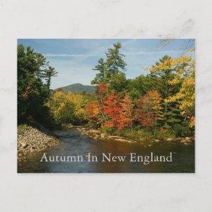 Carte Postale Autumn in New England Postcard