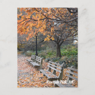 Carte Postale Autumn Leaves Riverside Park New York
