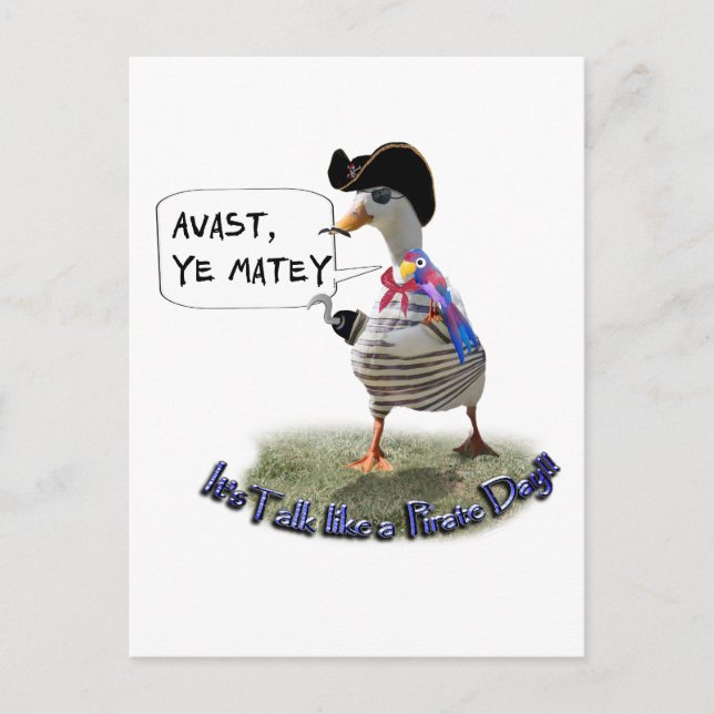 Carte Postale AVAST, MATEY ! Ce sera Pirate parler jour (Devant)