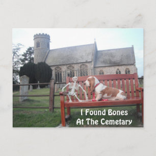 Carte Postale Avec Basset Hound Visite Cemetary