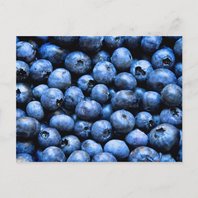 Carte postale avec bleuets (Devant)