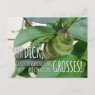 Carte postale avec chenille et humour