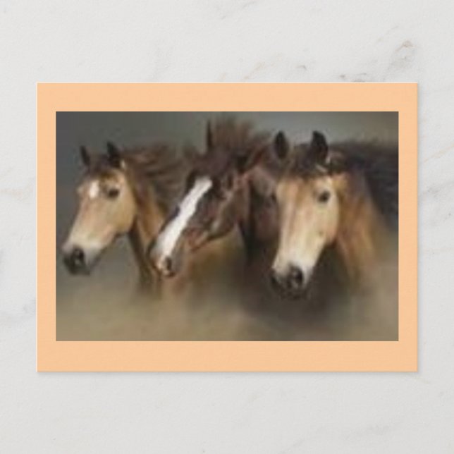 Carte postale avec chevaux (Devant)