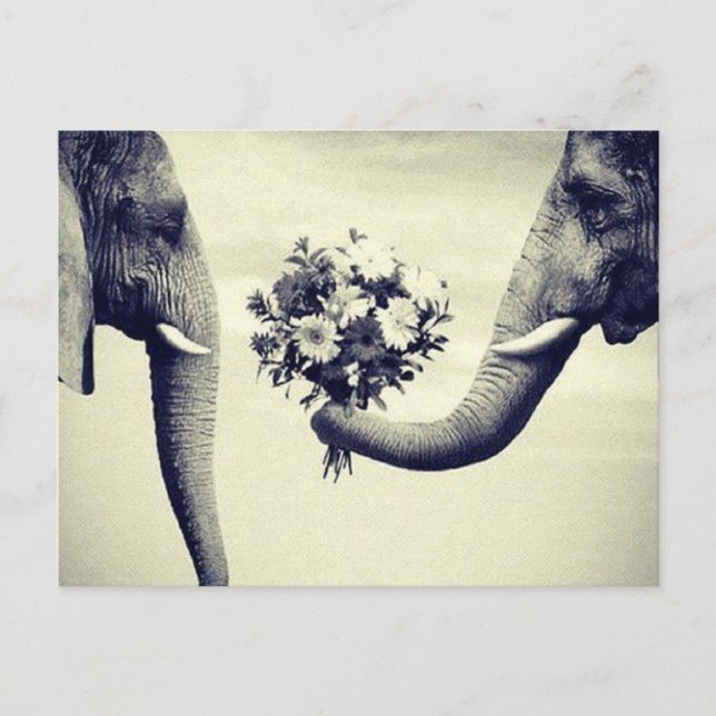 Carte Postale  avec éléphant et bouquet de fleurs (Devant)